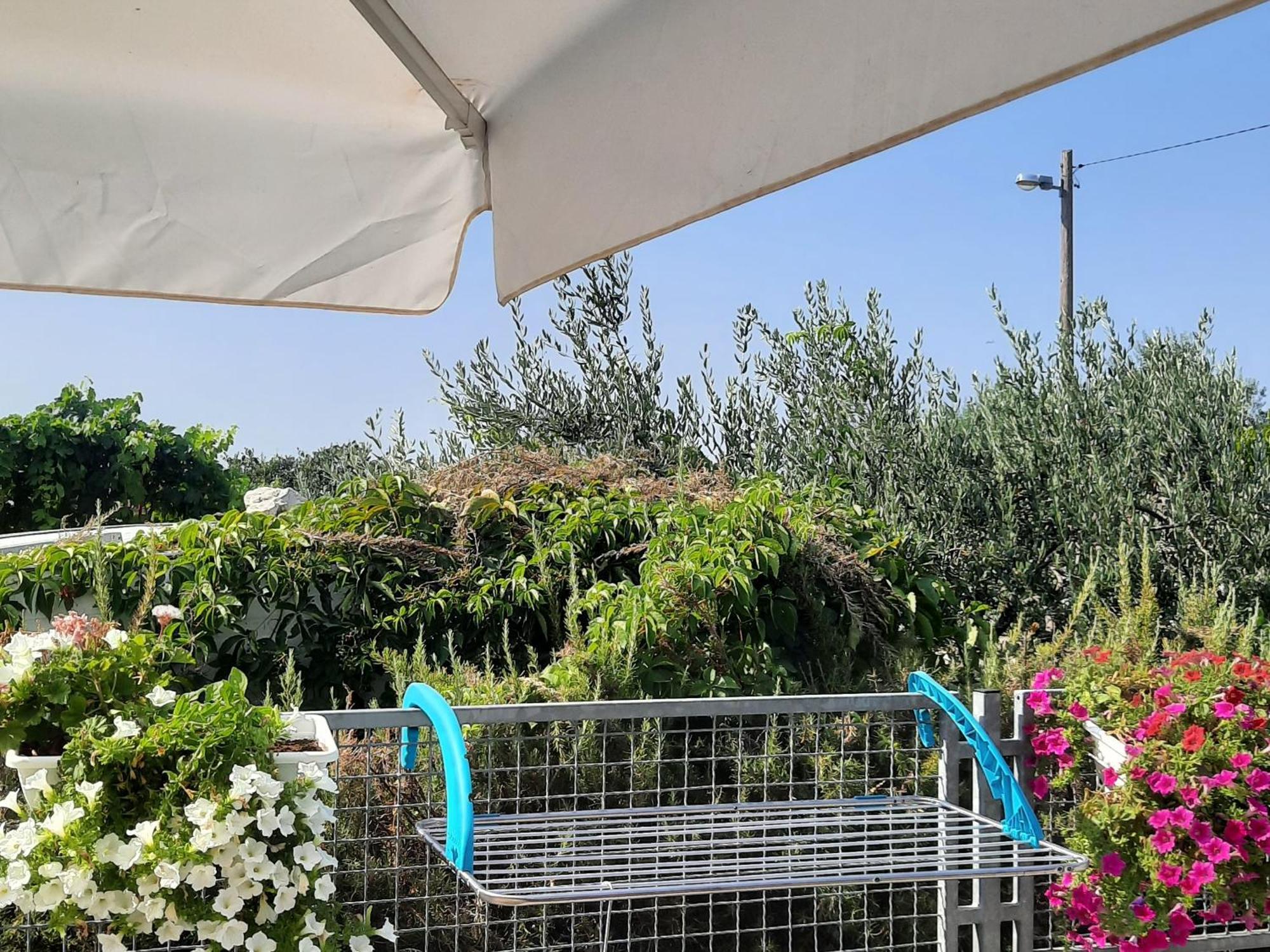 Studio Apartman Mare Trogir Exteriör bild